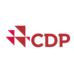 CDP Turkey Awards logosu